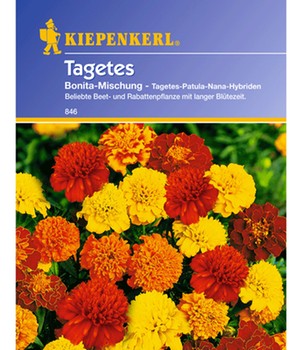 Tagetes 'Bonita Mischung'