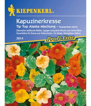 Kapuzinerkresse 'Tip Top Alaska Mischung'