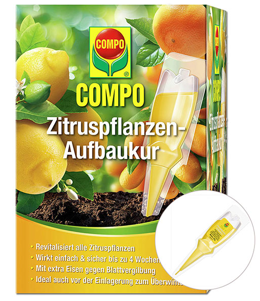 COMPO® Zitruspflanzen-Aufbaukur