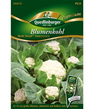 Kleinblumiger Blumenkohl Multi Head®