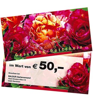 Geschenk-Gutschein im Wert von 50,- EUR