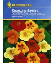 Rankender Kapuzinerkresse-Mix