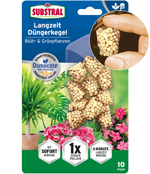 Substral® Langzeit Düngerkegel Blüh- und Grünpflanzen