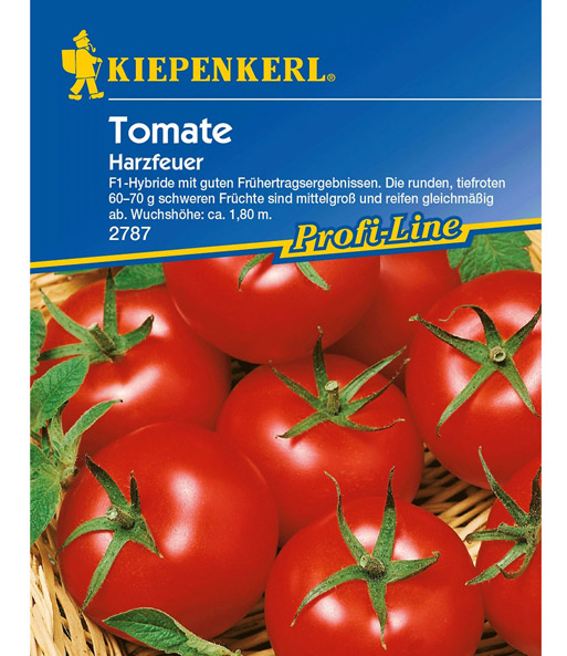 Tomaten 'Harzfeuer' F1