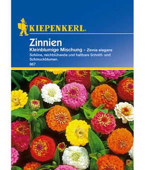 Zinnie 'Kleinblumige Mischung'