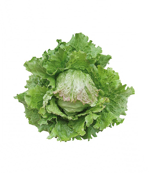 Hochbeet Saatgut-Box