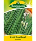 Schnitt-Knoblauch 'Wagners Kobold'