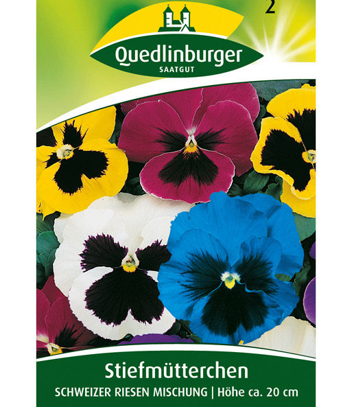Riesen-Stiefmütterchen 'Schweizer Riesen'