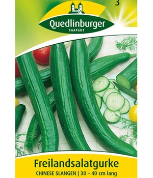 Salatgurke 'Chinese Slangen'