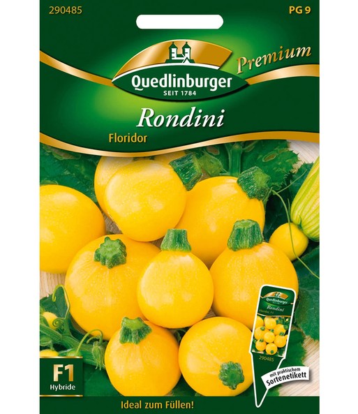 Zucchini 'Rondini Floridor'