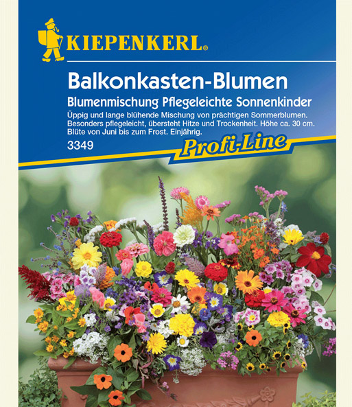 Balkonkasten-Blumenmix 'Pflegeleichte Sonnenkinder'