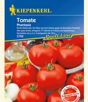 Tomaten 'Phantasia' F1