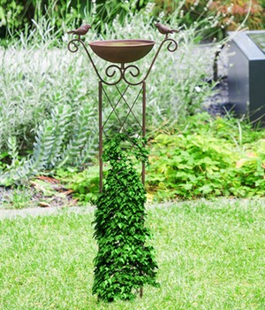 Vogeltränke mit Rankhilfe