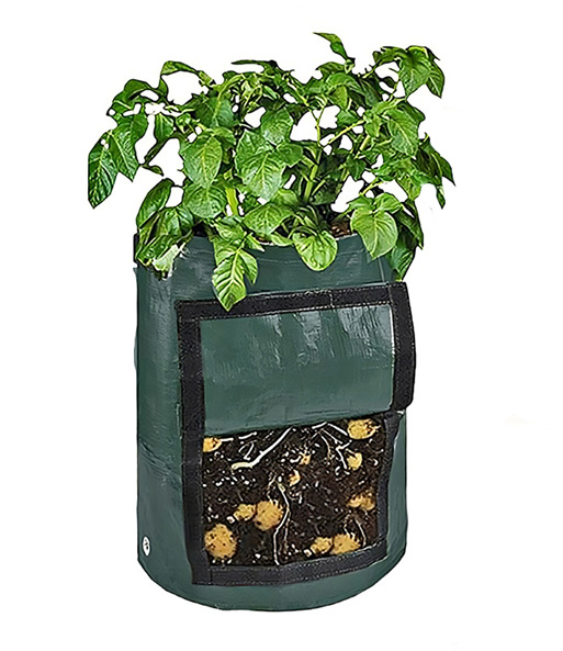 Kartoffelpflanztasche