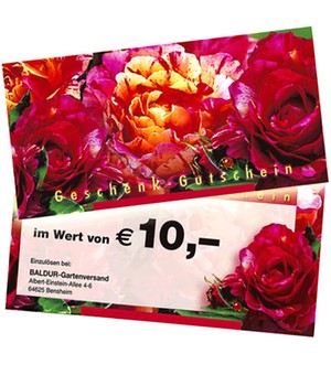 Geschenk-Gutschein im Wert von 10,- EUR