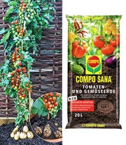 TomTato® & COMPO® SANA® Tomaten- und Gemüseerde