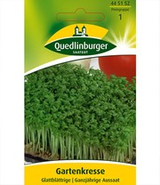 Gartenkresse, glattblättrige