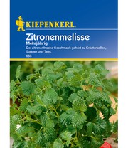 Zitronenmelisse mehrjährig