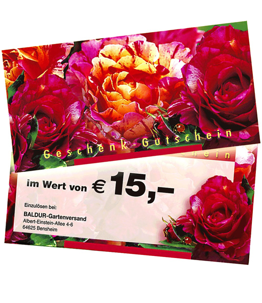 Geschenk-Gutschein im Wert von 15,- EUR