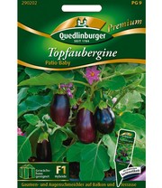 Topf-Aubergine 'Patio Baby' F1