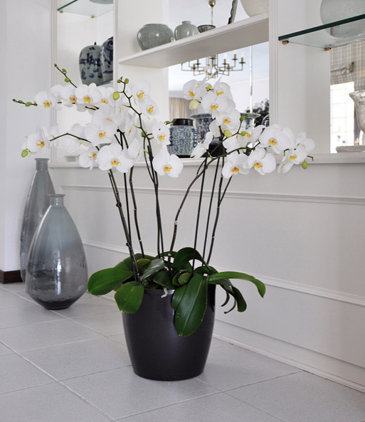 Blumentopf mit Selbstbewässerung anthrazit, 35 cm