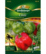 Chili 'Jamaican Scotch Bonnet'