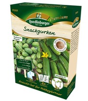 Anzuchtset 'Mini-Gurke & Mexikanische Gurke'