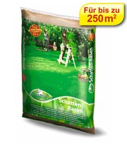 Rasenmischung Pegasus Schattenrasen 10 kg