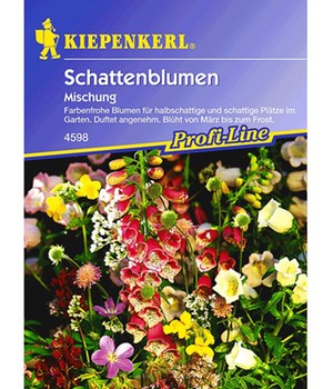 Schattenblumen 'Mischung'