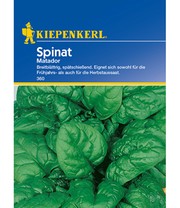 Spinat 'Viking'
