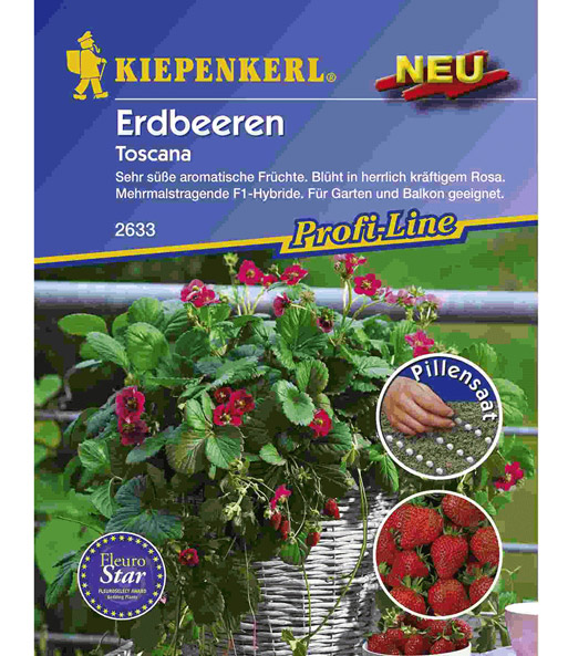 Erdbeere 'Toscana' Pillensaat