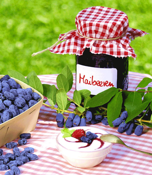 Maibeere® 'Amur®'