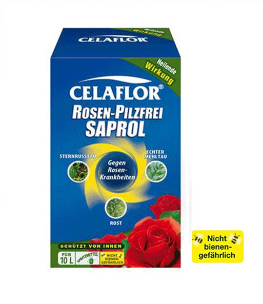CELAFLOR® Rosen-Pilzfrei Saprol®