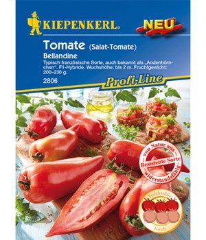 Salat-Tomate 'Bellandine' F1