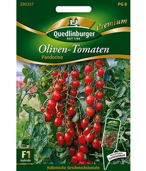 Oliven-Tomaten 'Pandorino'