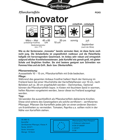 Pommes-Kartoffel 'Innovator'