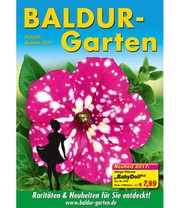 Hänge-Petunie 'BabyDoll®'