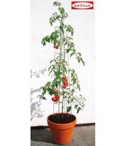 Tomatenturm 120 cm