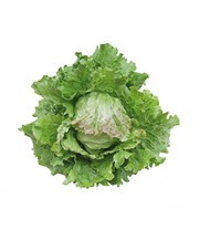 Hochbeet Saatgut-Box