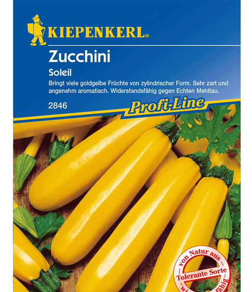 Zucchini 'Soleil'