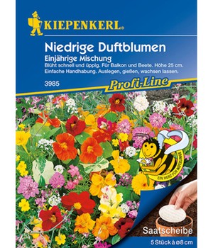 Niedriger Duftblumen-Mix Saatscheiben