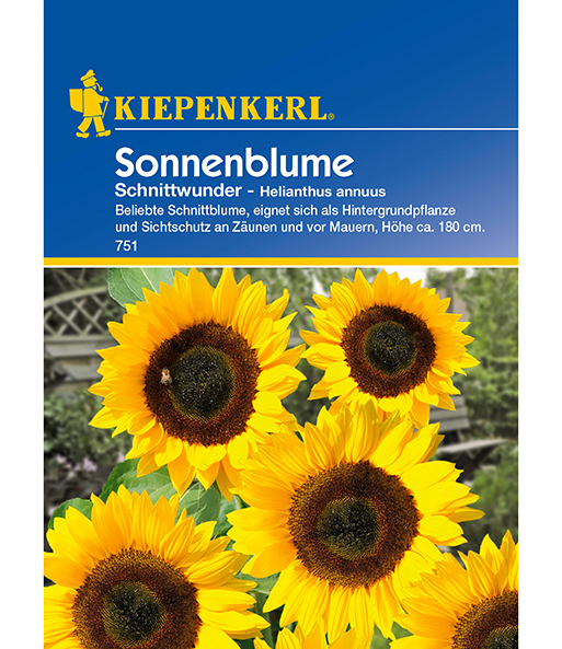 Sonnenblume 'Schnittwunder'