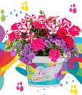 Sommerblumen-Mix 'Passion Combos Unicorn'