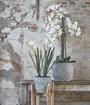 Kunstpflanze 'Schmetterlings-Orchidee' 97 cm