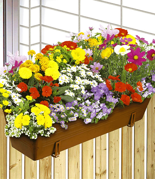 Bunter Blumen-Teppich