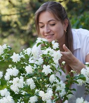 Duftender Gartenjasmin 'Pearls of Perfume®'