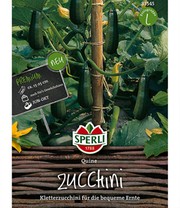 Zucchini 'Quine'