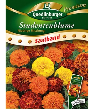 'Niedrige Studentenblume' Saatband