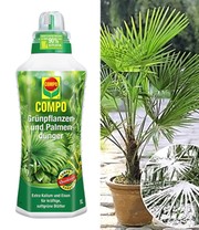 COMPO®  Palmendünger & Winterharte Kübel-Palme