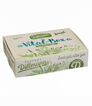 Vitalbox Saatgut-Box